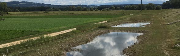 Header landschaftschutz